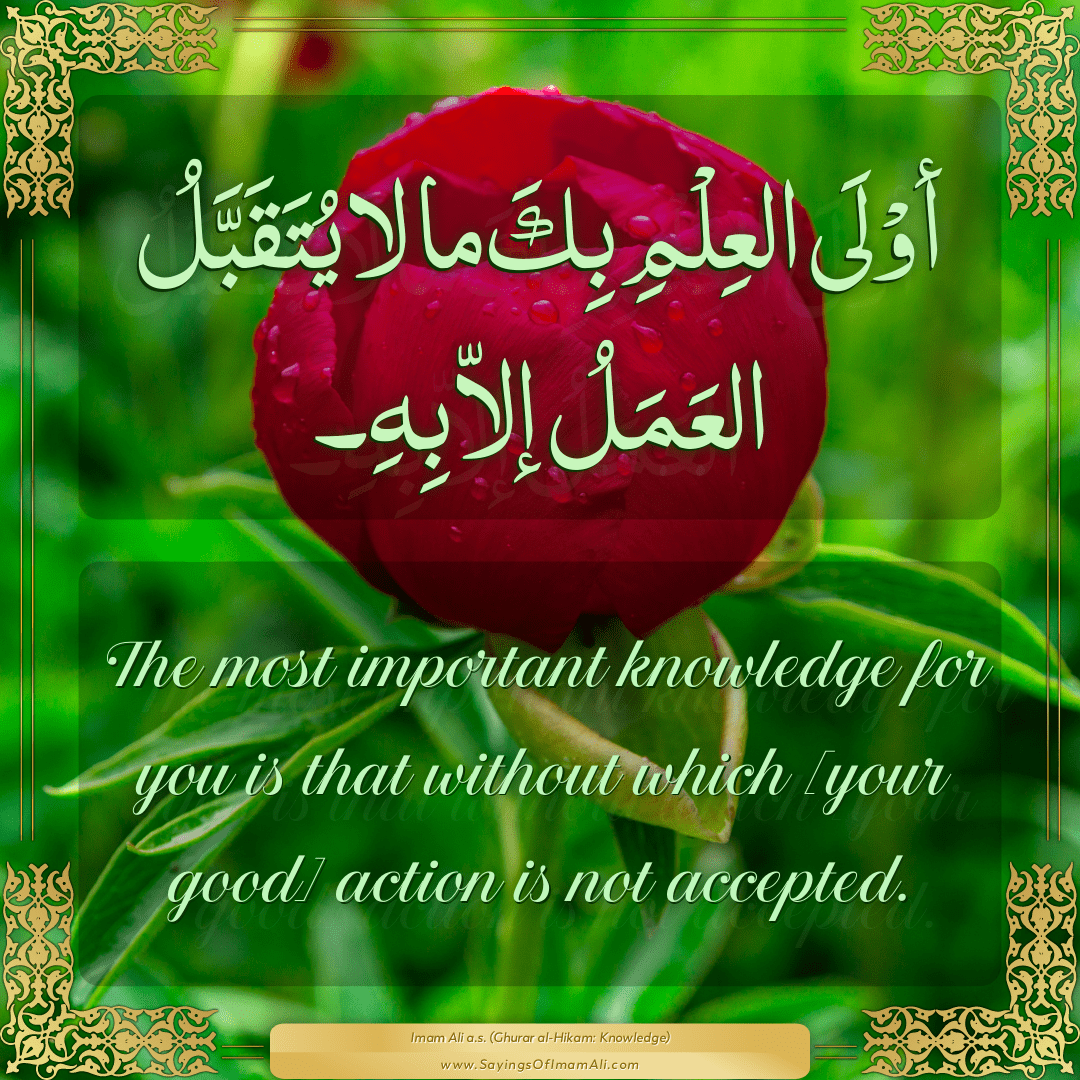 The most important knowledge for you is that without which [your good]...